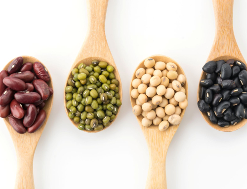 Sabe como cuidar dos seus rins? Conheça o top 3 de alimentos amigos deste órgão